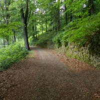 Cesta ku hradu