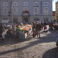 Zelný trh