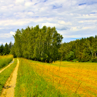 Česká krajina 