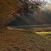 Paprsky