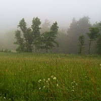 rANNÍ
