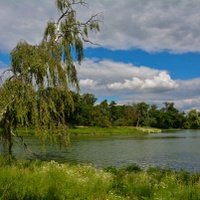 Park v červenci