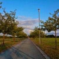 V aleji