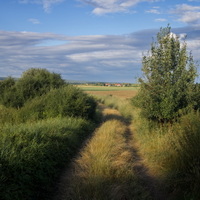 podvečerní krajinka