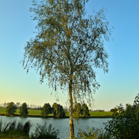Poslední paprsky