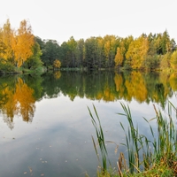 podzim na rybníku