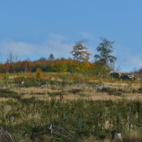 Podzim-8