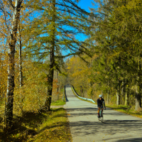 Osamělý cyklista 