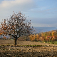 Barevný podzim