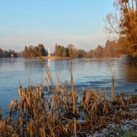 Zamrzlý rybník