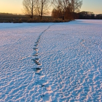 při západu slunce