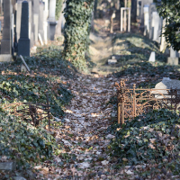 Nový židovský hřbitov