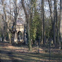 Nový židovský hřbitov III