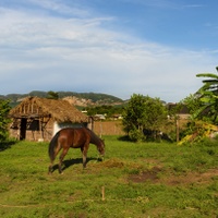 Údolí Viñales