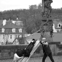  stálice