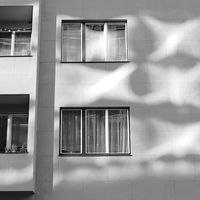 opona