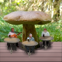 Pohoda