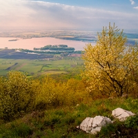 Pálava