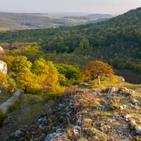 Pálava