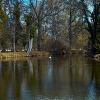 Předjaří
