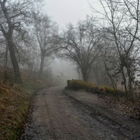 Nevlídno