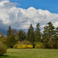 Jarní 