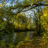 loňská