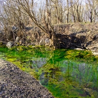 řeka Opava