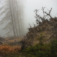 Klasická Šumava