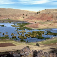 Umayo