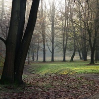 Parková