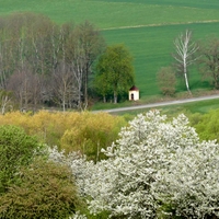 Kaplička