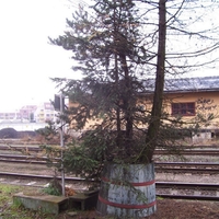 Květináček