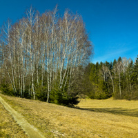 Předjaří v krajině 