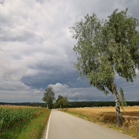 Před bouří 