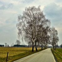 Zamračený podvečer 