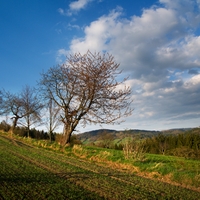 Jarní