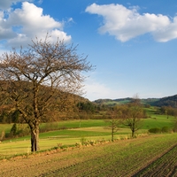 Předjaří