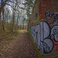 StreetArt v lese 