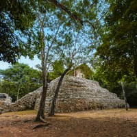 Cobá
