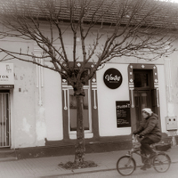 Pezinské víno 