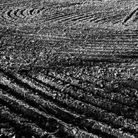 agroart 40