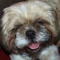 Maty