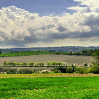 Vysočina u Skřivánku