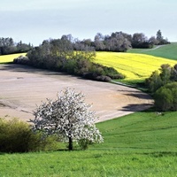 Jarní Vysočina