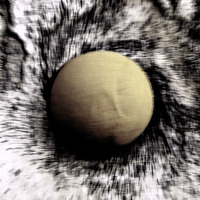 gravitace