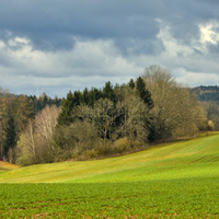Předjarní krajina