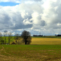Před deštěm 
