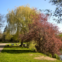 Jaro u vody