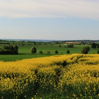 Kolovečsko